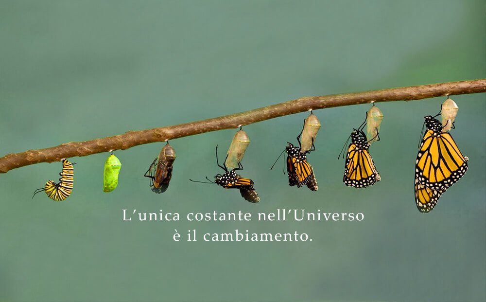 visione olistica